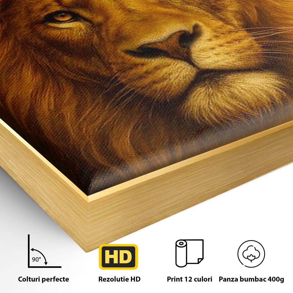 Detaliu al suprafetei: tablou canvas cu portret de leu, in rama de aluminiu auriu